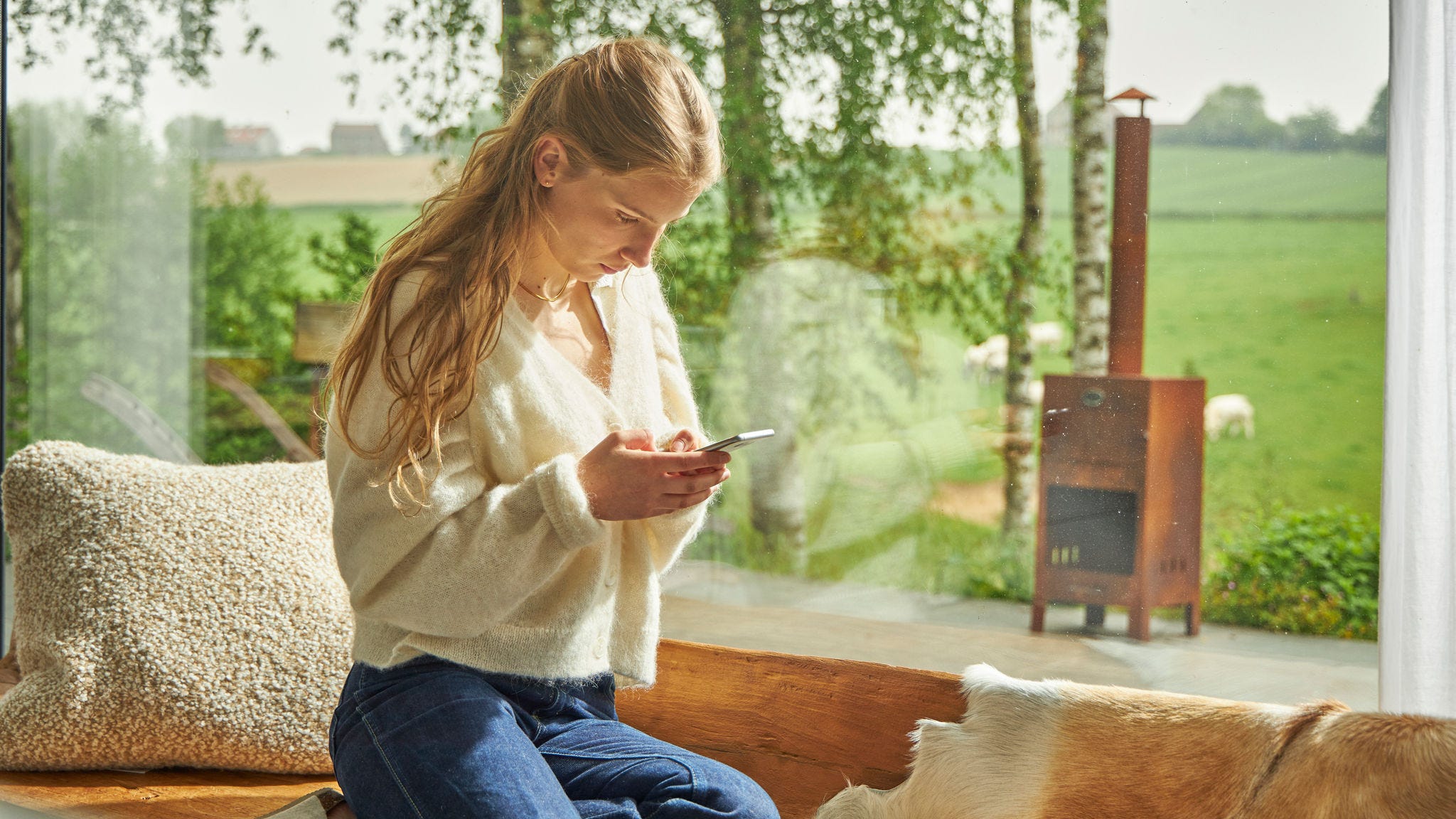 Lady checking government incentive schemes on smartphone