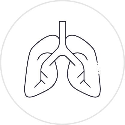 Lungs