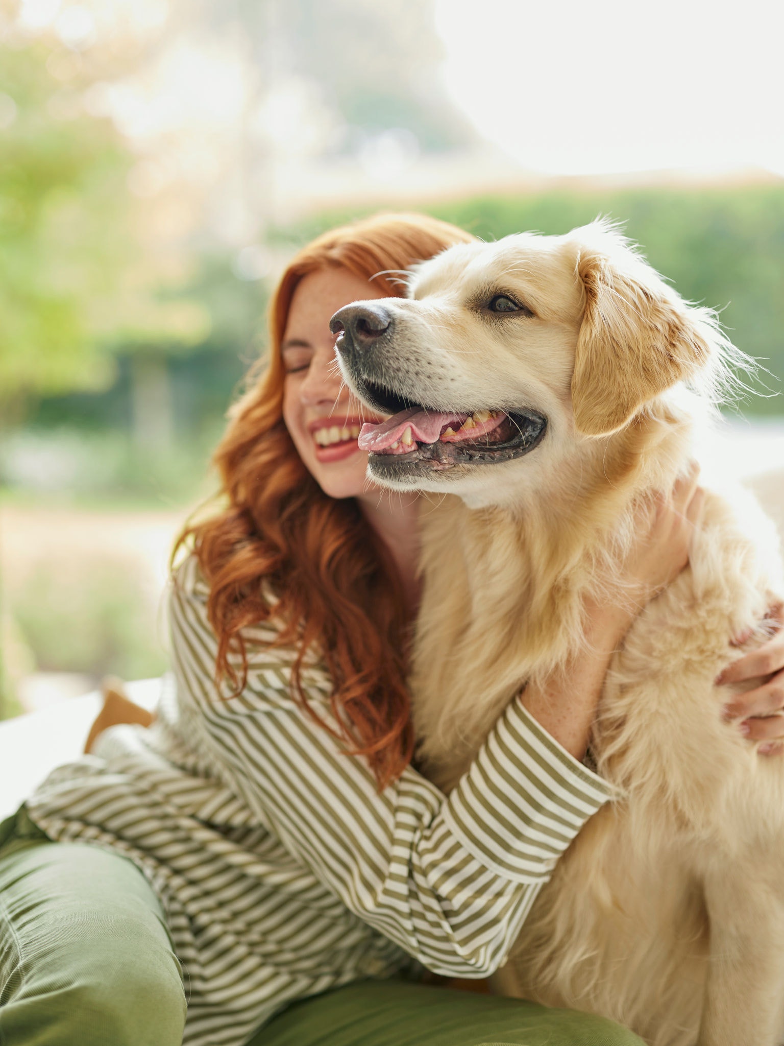 Living with pets while managing pet allergy symptoms at home