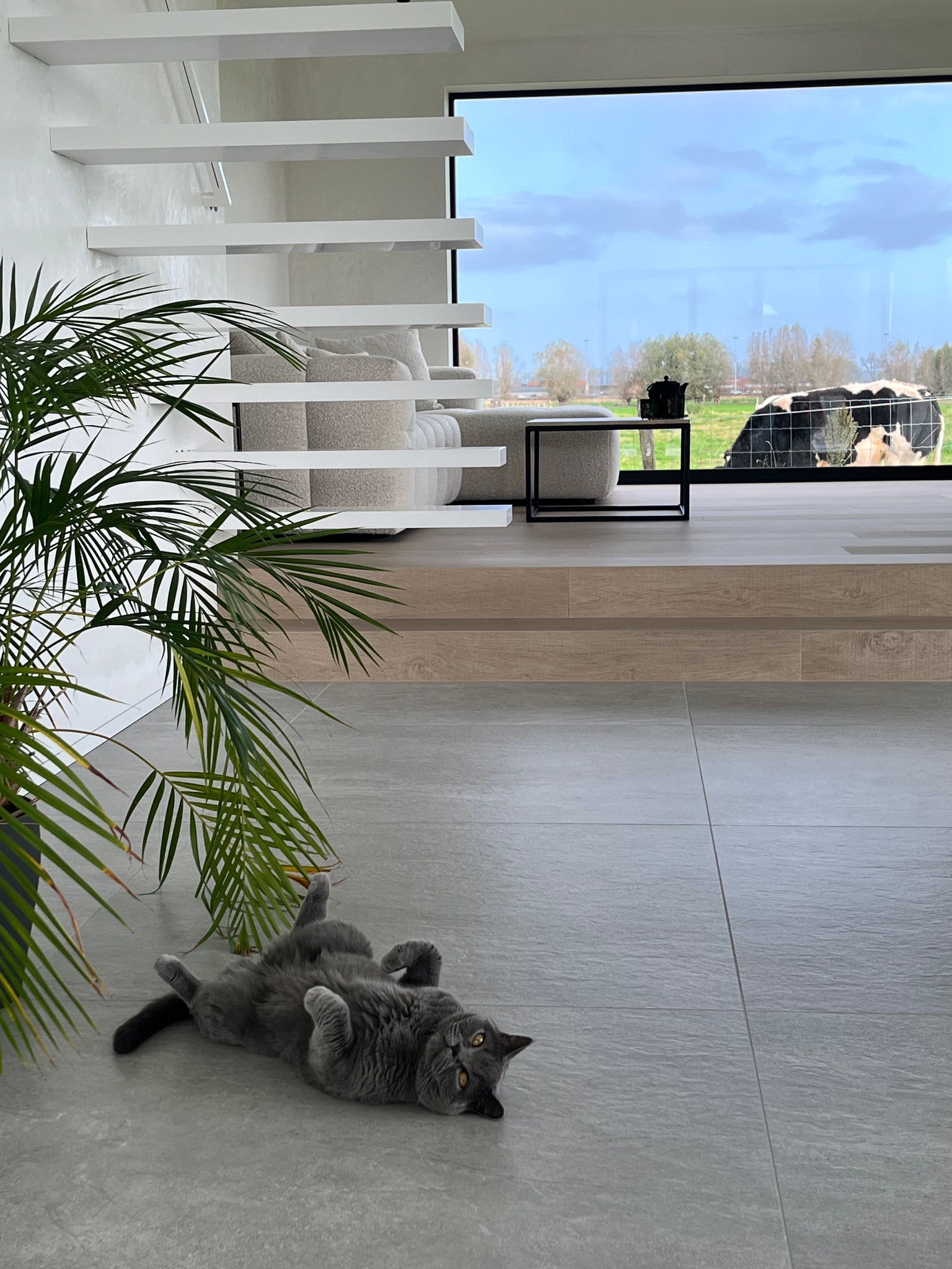 Spacious living room with energy-efficient heating powered by a Daikin heat pump