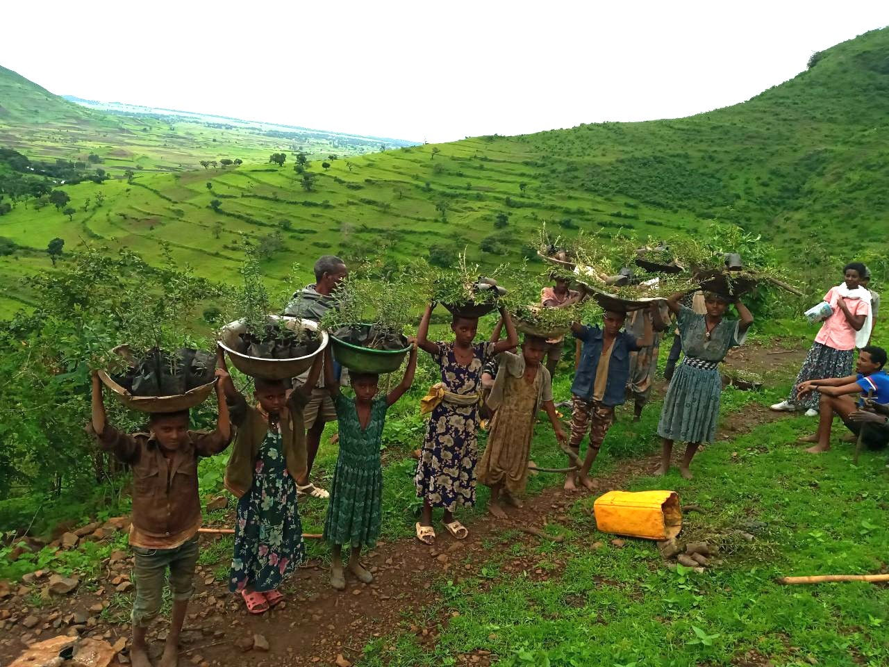 Reforestation activities with local support in Ethiopia